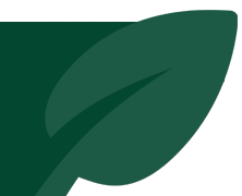 leaf adournment image adding to the footer design